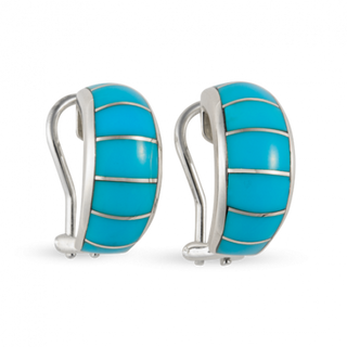 Sleeping Beauty Turquoise Half Hoop Earrings
